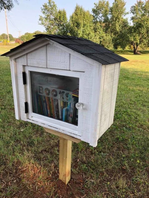 little-library-box
