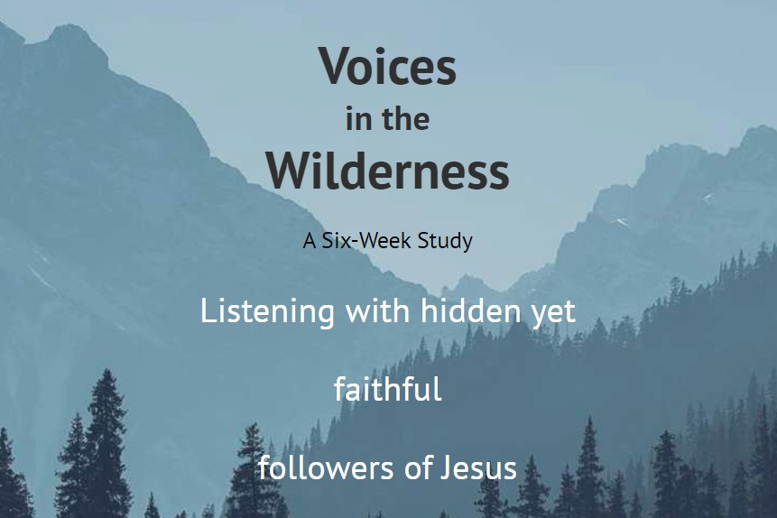 voices-in-wilderness