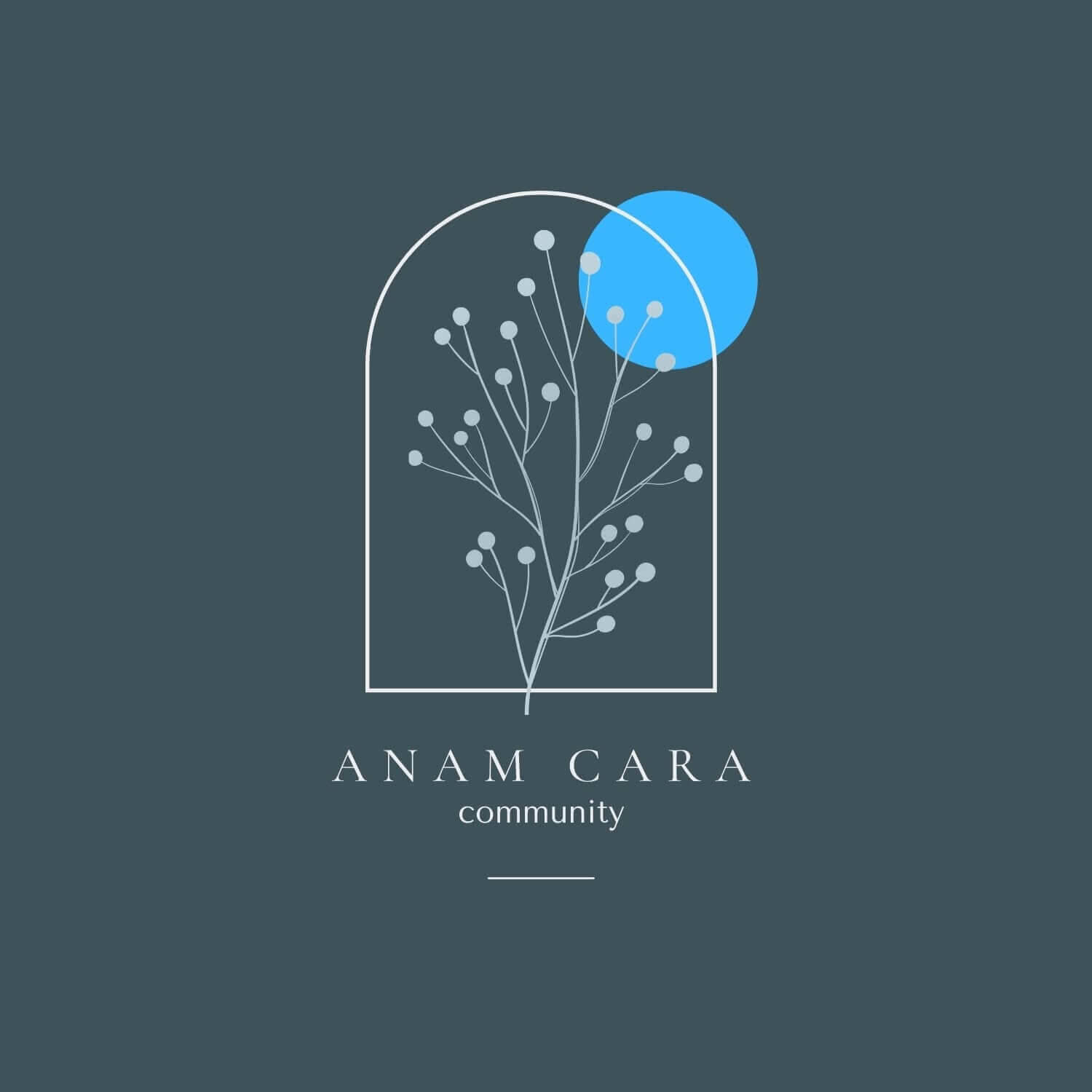Anam Cara Community