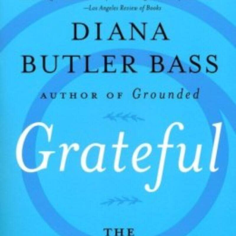 Grateful-Butler-Bass_800x