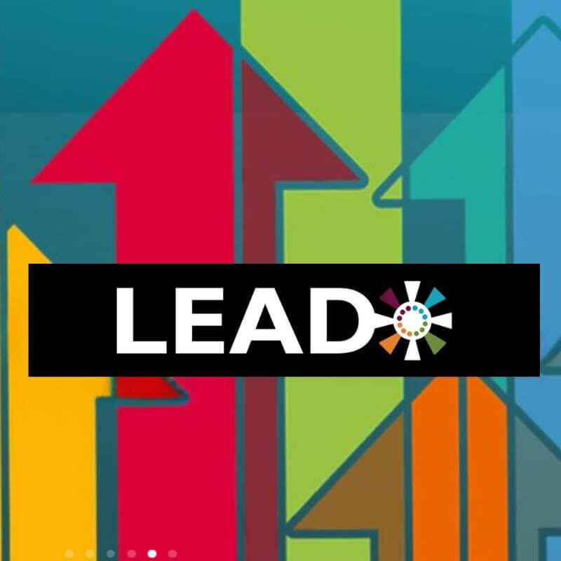 LEAD_800x